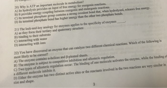 Solved 20 why is atp an important molecule in metabolism chegg