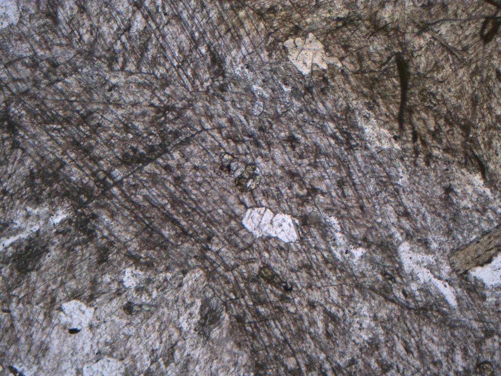 Solved Identify the main mineral in each rock (or “matrix” | Chegg.com