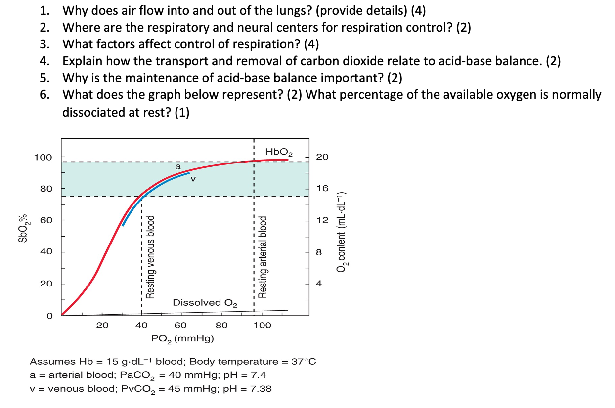 Solved 1. Why does air flow into and out of the lungs? | Chegg.com