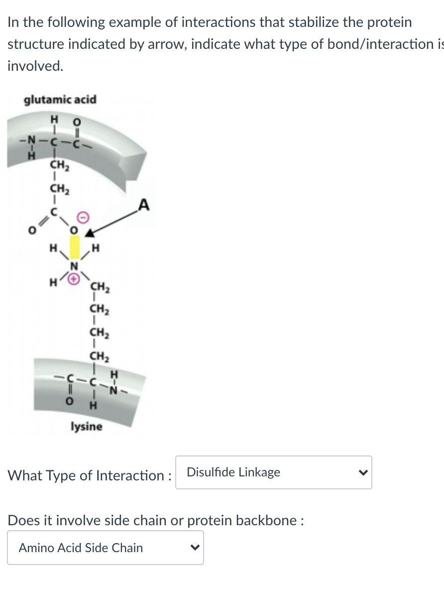 Solved In The Following Example Of Interactions That | Chegg.com