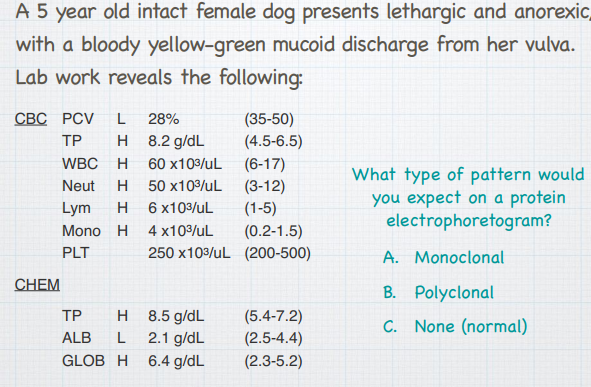 what is a normal pcv in dogs