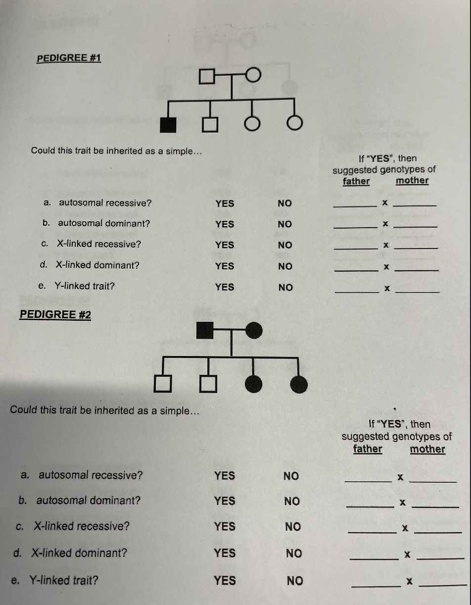 Solved PEDIGREE #1 ।588 Could this trait be inherited as a | Chegg.com