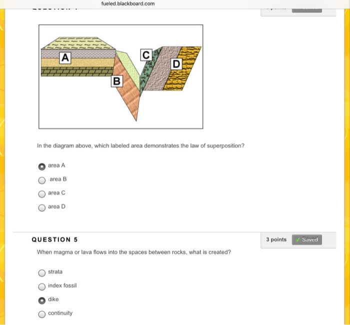 Solved QUESTION 2 3 points Save Answer Which of the | Chegg.com