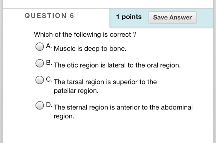 Solved QUESTION 6 1 points Save Answer Which of the | Chegg.com