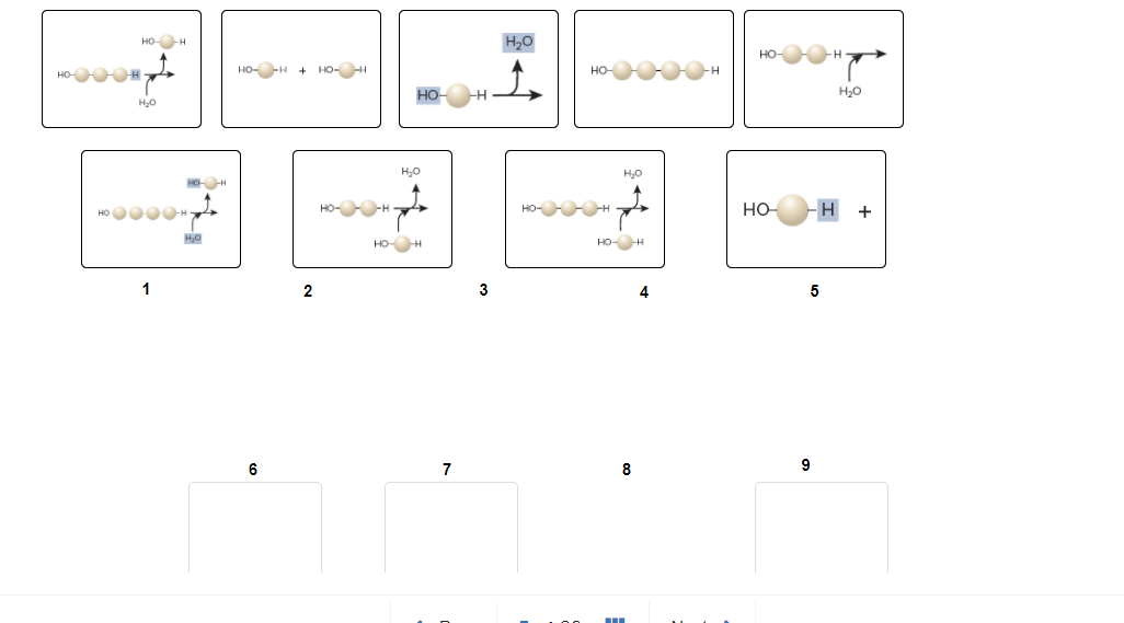 solved-place-the-following-parts-of-the-chemical-reactions-chegg