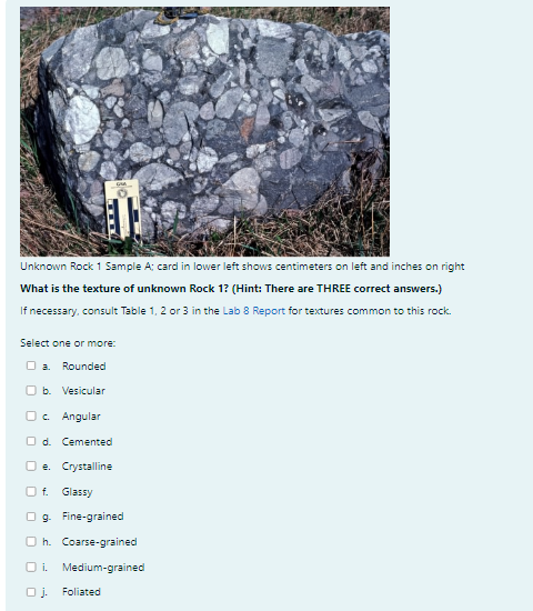 Solved Unknown Rock 1 Sample B; sample is ∼10 centimeters | Chegg.com