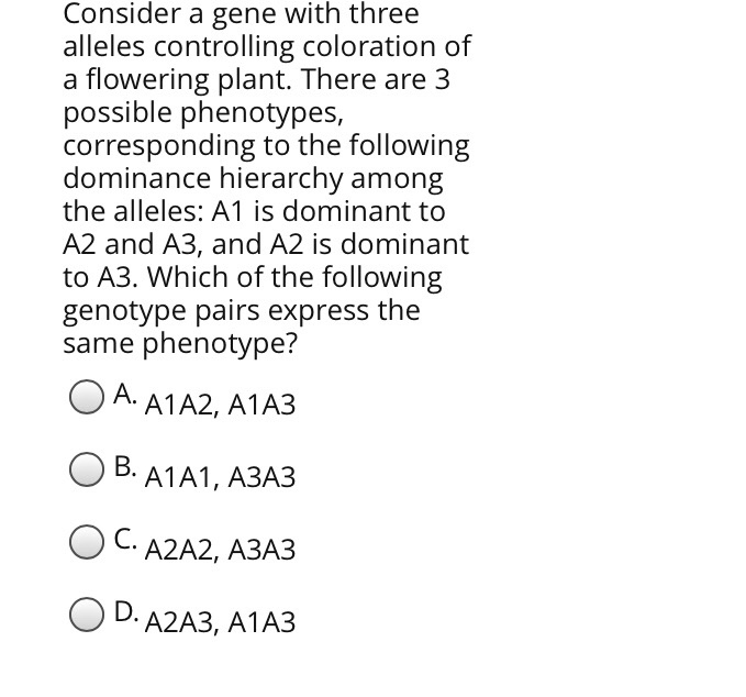 Solved Consider A Gene With Three Alleles Controlling 7194