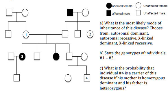 Solved affected female Unaffected female affected male | Chegg.com