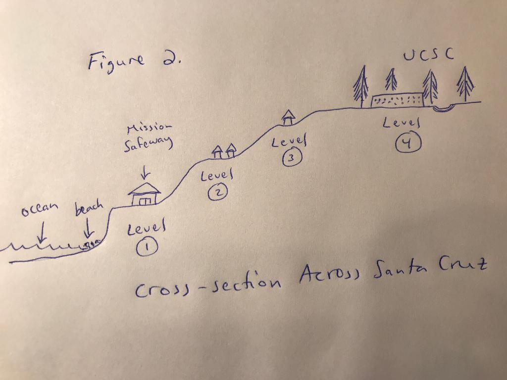 Solved This is Figure 2 a cartoon I drew of a cross section