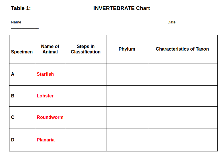 Solved Table 1: INVERTEBRATE Chart Name Date Name of Animal 