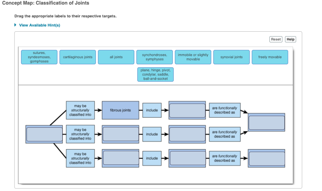 Solved Concept Map: Classification of Joints Drag the  Chegg.com