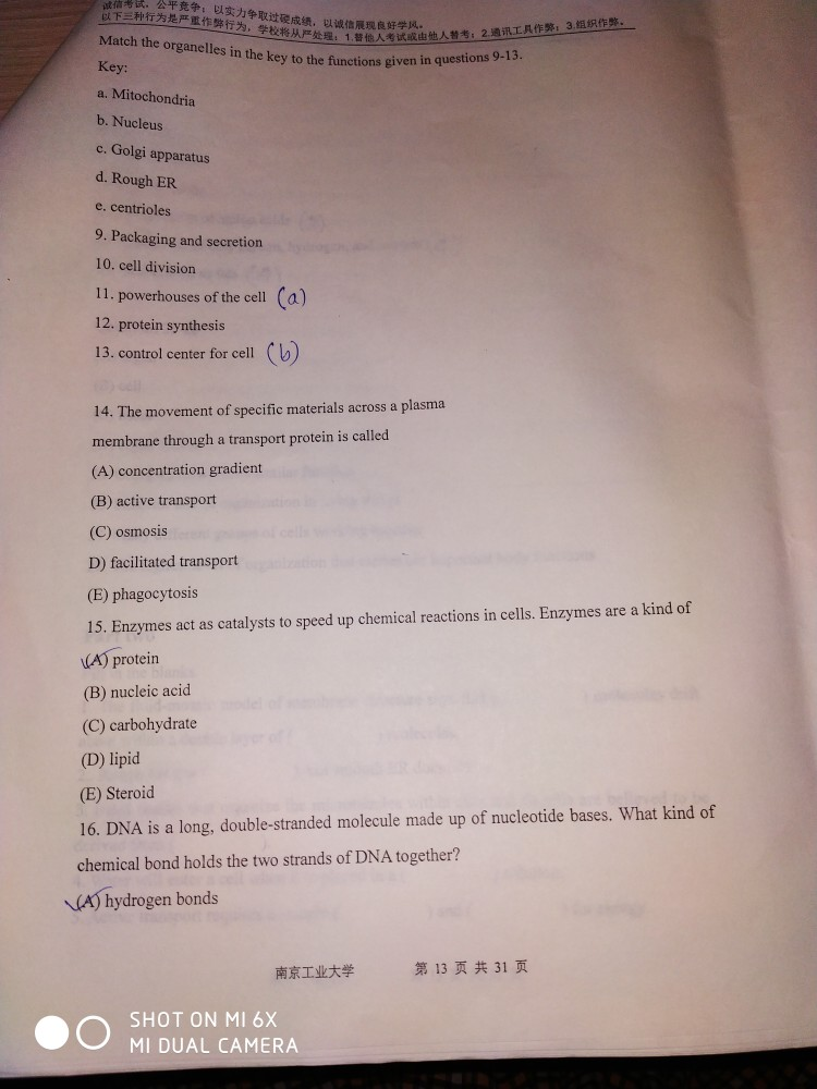 Solved Mit t gn Chapter 3 Cell Structure and Function Key | Chegg.com