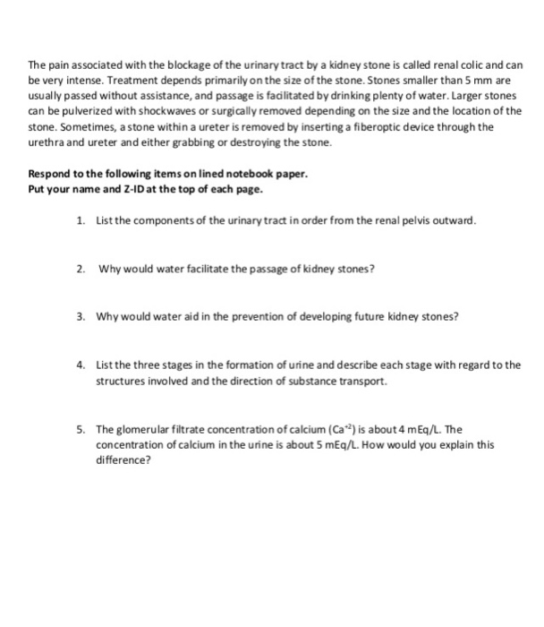 Solved This case study assignment is worth a maximum of 15 | Chegg.com