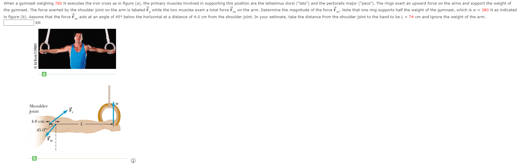 Solved 3. An athlete weighing 750 N performs an iron cross