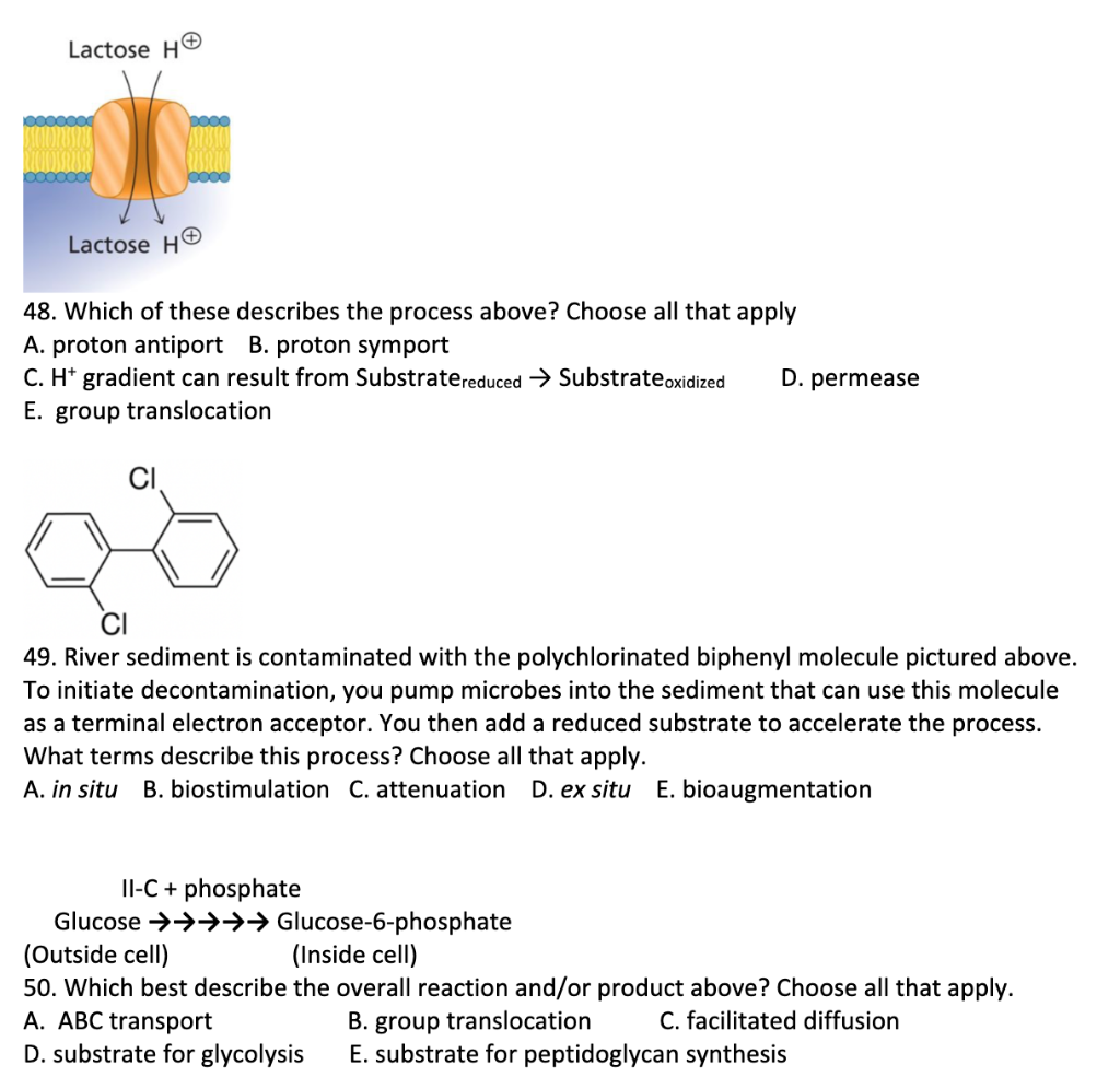 Solved Lactose HS Lactose H 48. Which of these describes the