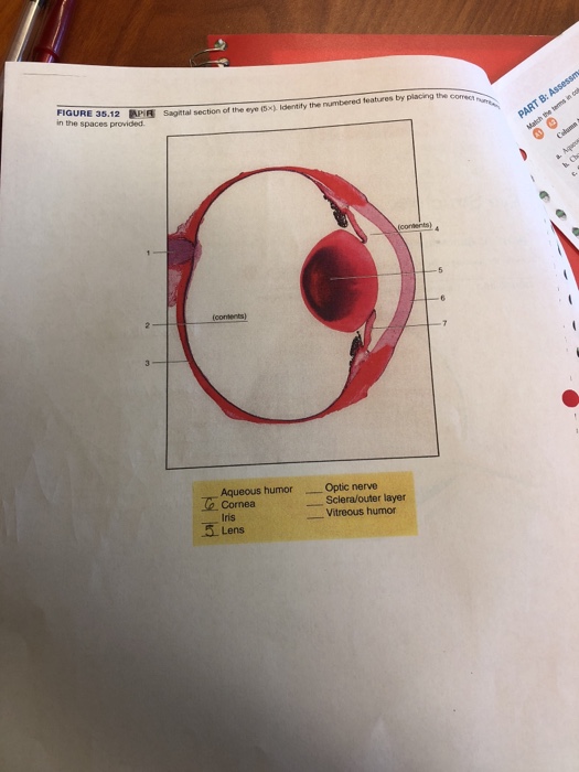 Solved PART B: Assessments Match The Terms In Column A With | Chegg.com