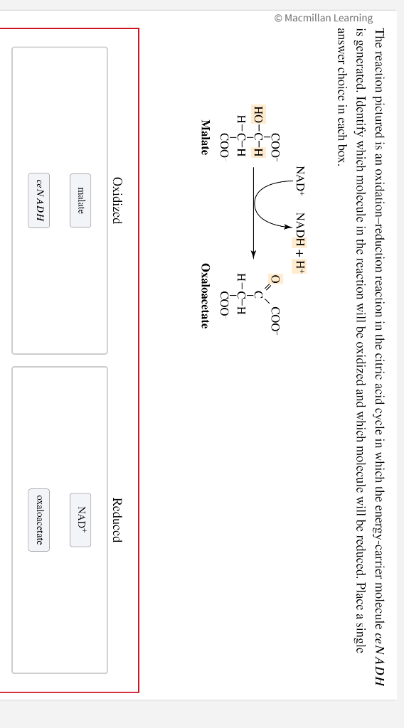 Solved The Reaction Pictured Is An Oxidation-reduction | Chegg.com