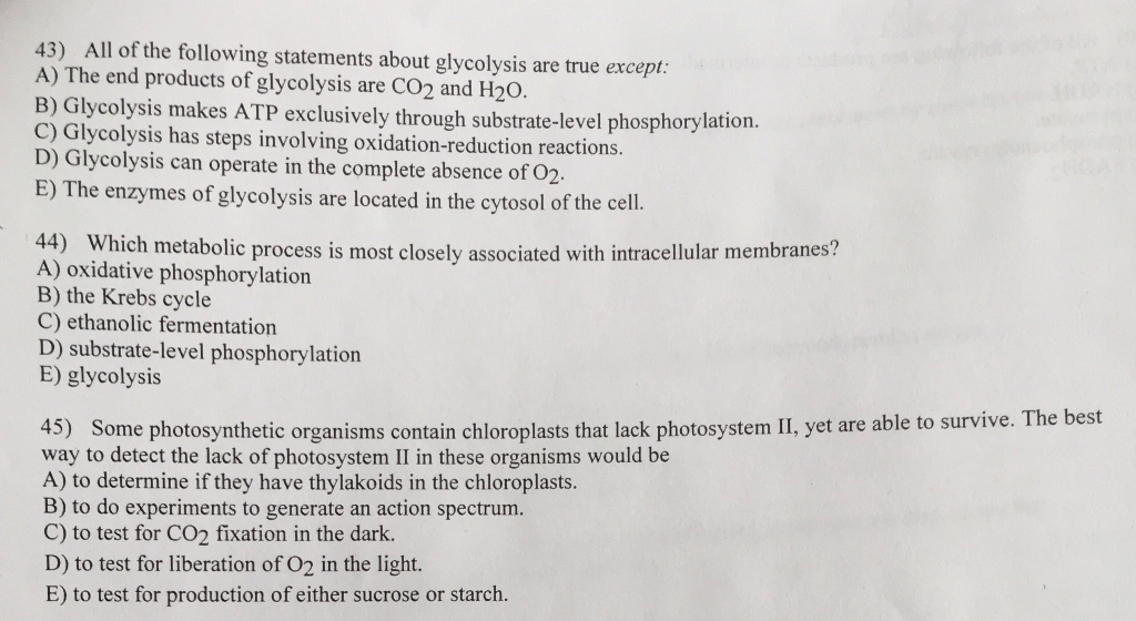 Solved 43) All of the following statements about glycolysis | Chegg.com