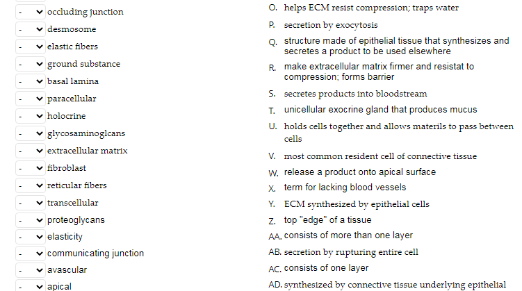 Solved Match the following information with the correct | Chegg.com