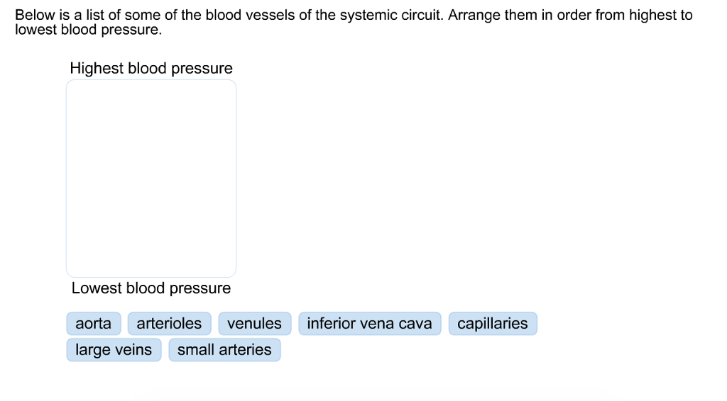 Solved Below Is A List Of Some Of The Blood Vessels Of The 