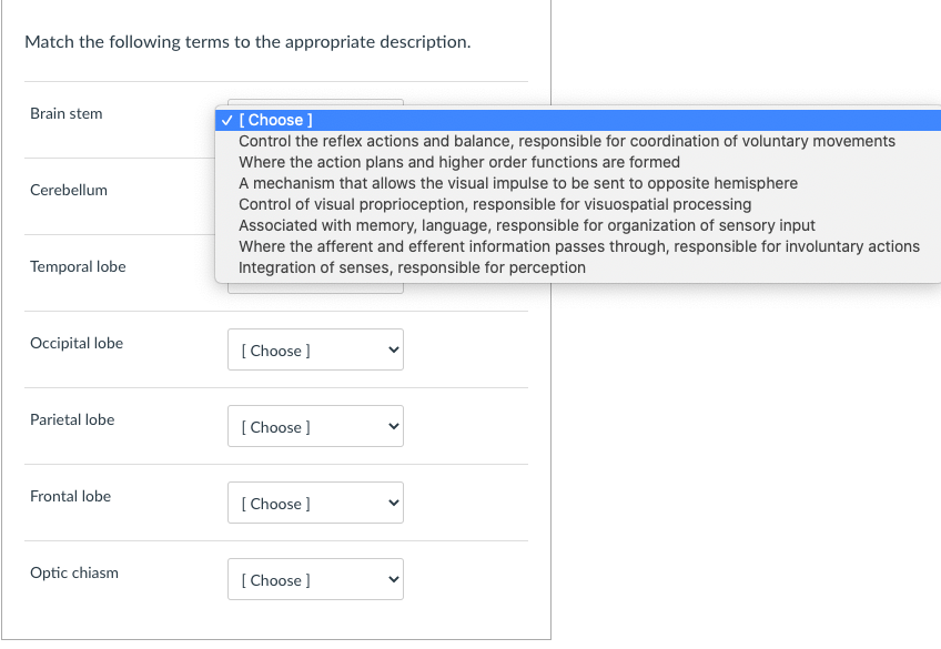 Solved Match the following terms to the appropriate | Chegg.com