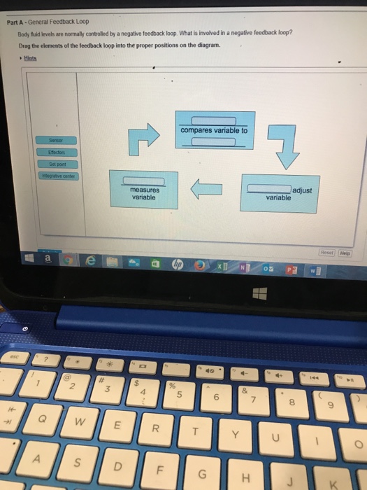 solved-part-a-general-feedback-loop-body-fuid-levels-are-chegg