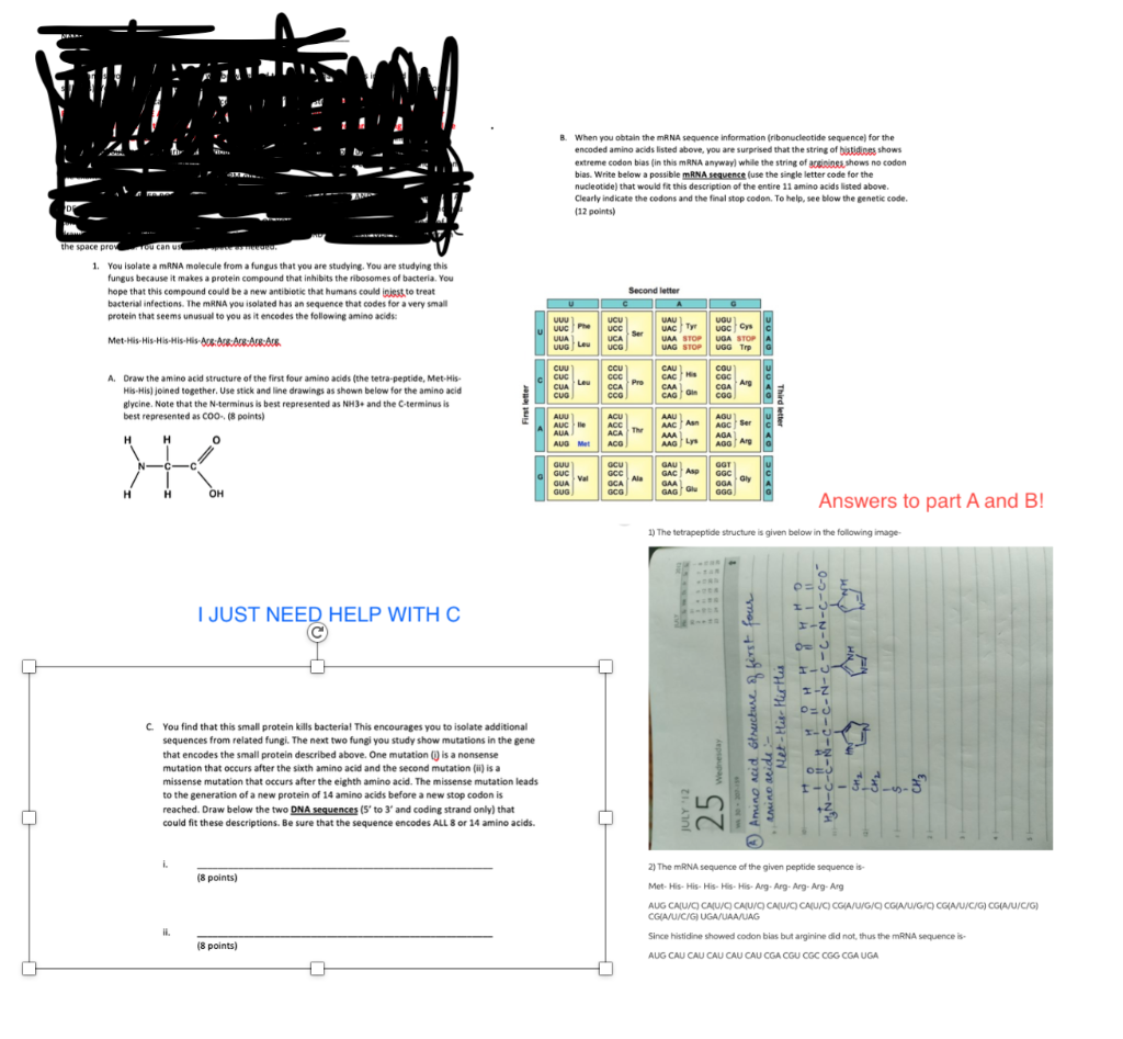Solved I ONLY NEED HELP WITH PART C! Part A and B have | Chegg.com