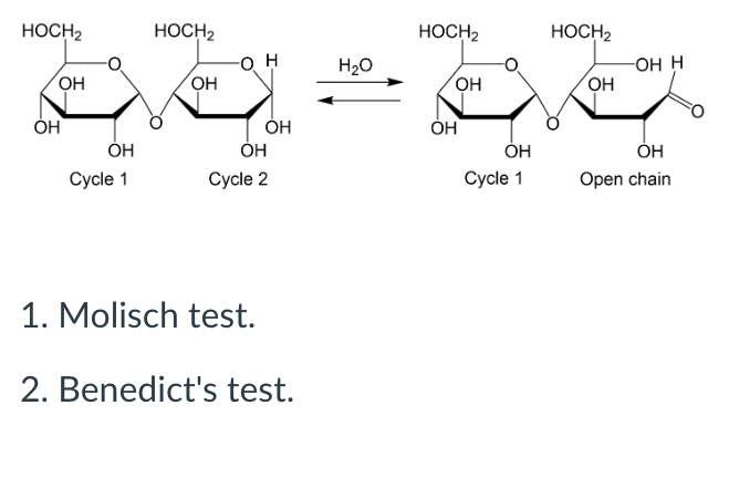 Anhydrotic Rings Test Solved Taking into account that only one of the rings (cycle | Chegg.com