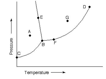 Solved Given The Diagram Above, Answer The Following: The | Chegg.com