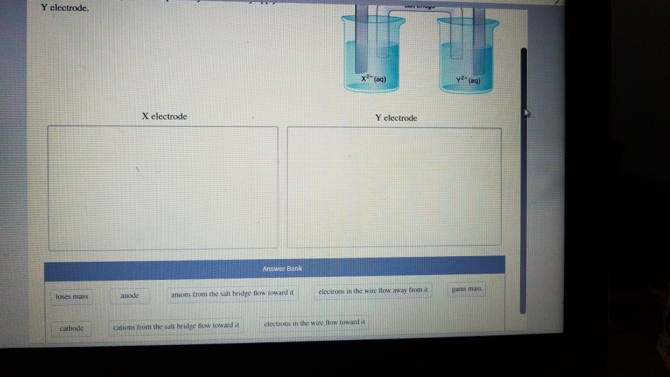 Solved Y electrode. X2 (aq) y2 (aq) X electrode Y electrode