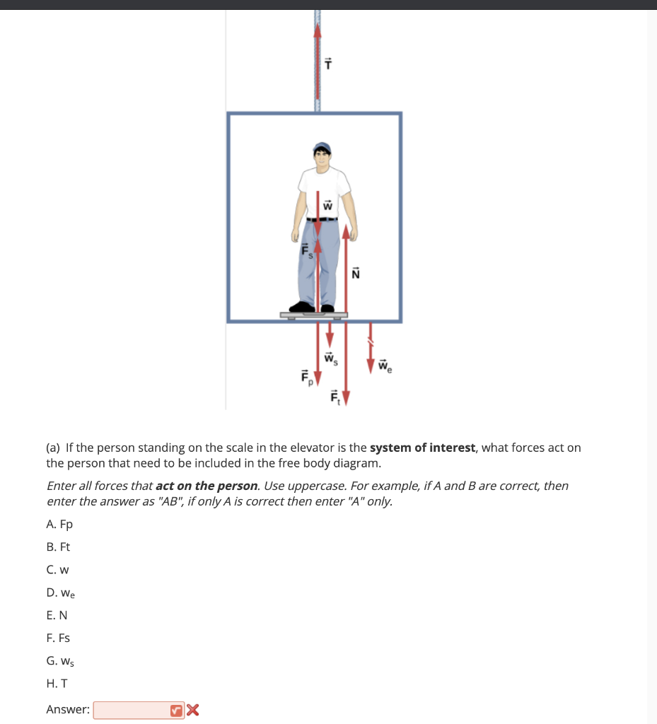 Solved T W N Ws A If The Person Standing On The Scale I Chegg Com