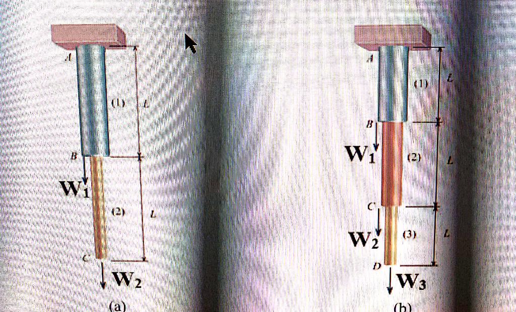 Solved a) To begin, draw the FBD of the bottom segment from | Chegg.com