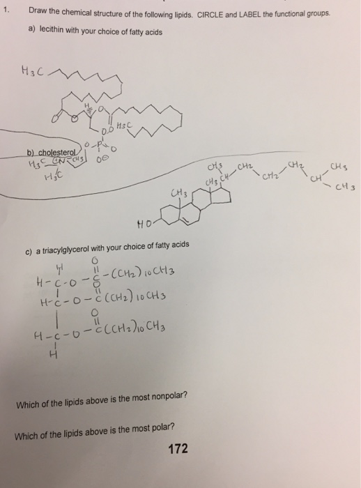 Solved I Already Drew The Structures, I Just Need The | Chegg.com