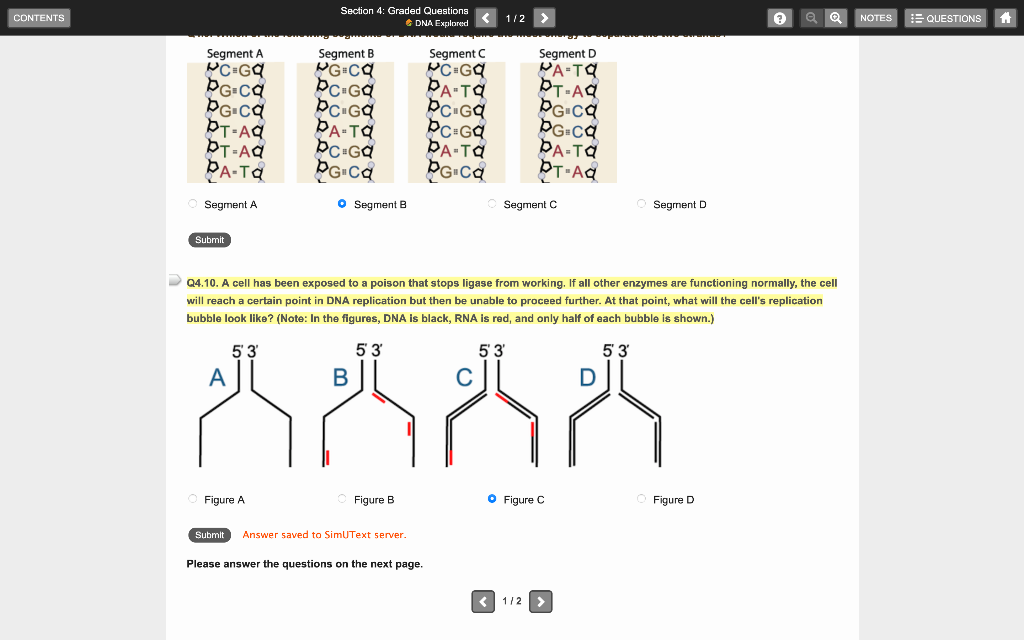 Solved CONTENTS Section 4: Graded Questions DNA Explored 1/2 | Chegg.com