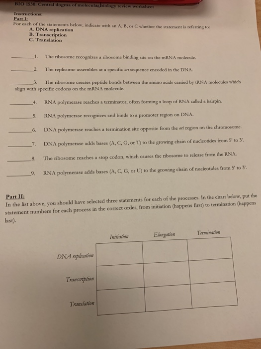 Dna Replication Worksheet Answer Key Quizlet : Dna Replication Review