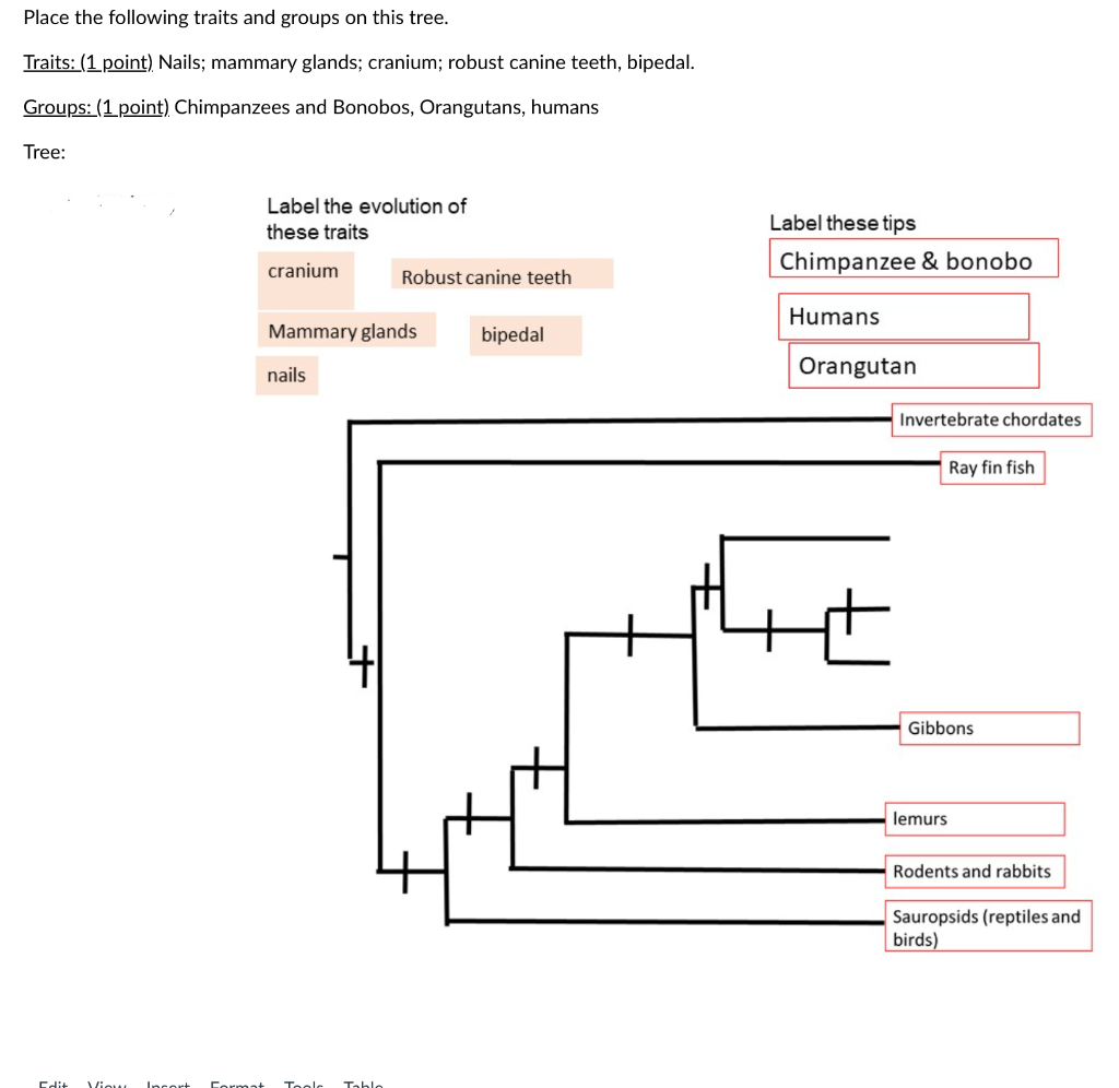 Solved Place the following traits and groups on this tree. | Chegg.com