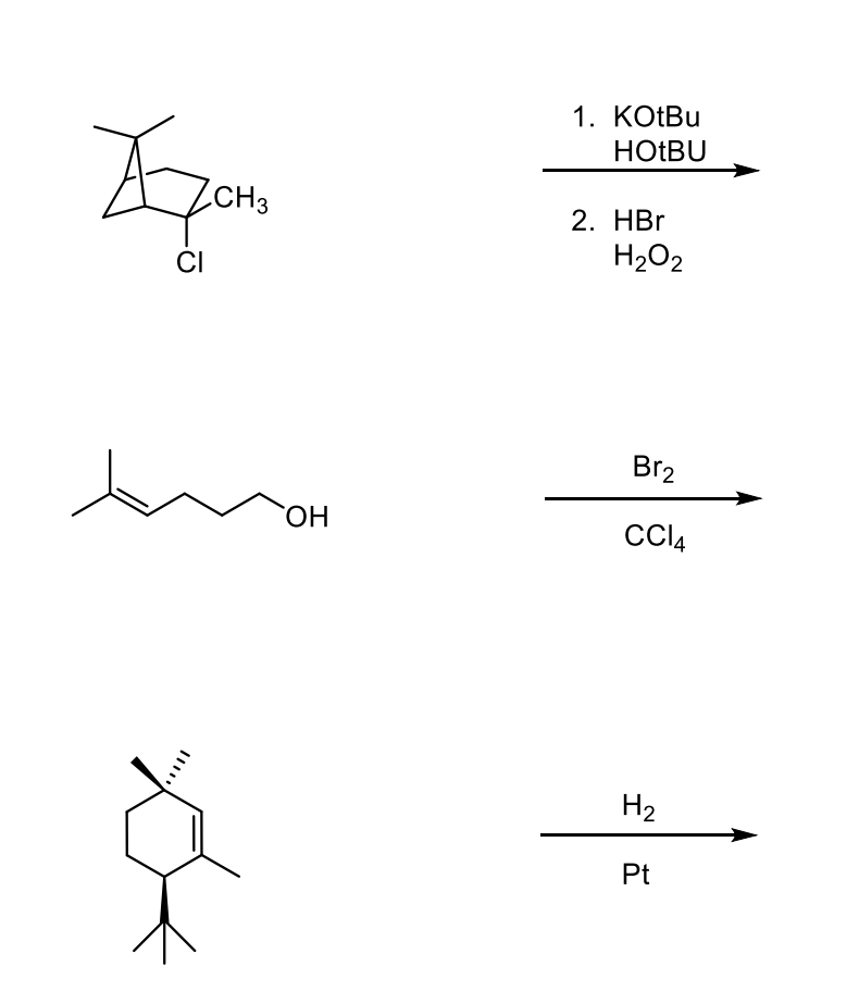 Solved 1. KOtBu HOBU Azon 2. HBr H2O2 CI Br2 ОН CC14 H2 Pt | Chegg.com
