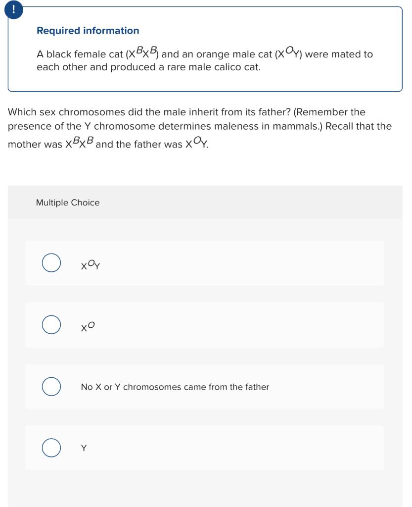 Required information A black female cat (XBXB) and an | Chegg.com