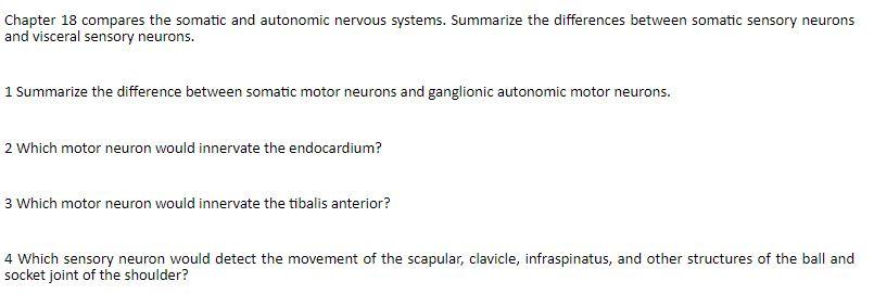 difference between somatic and autonomic