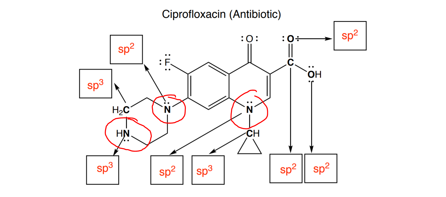 Solved Can You Explain Why The Two Nitrogens Connected To Chegg Com