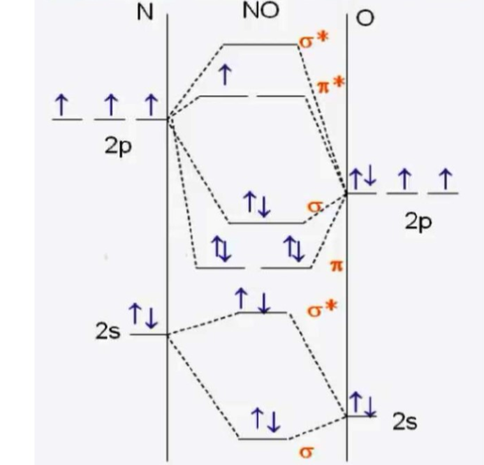 Solved The Figure Below Shows The Molecular Orbital Diagram 