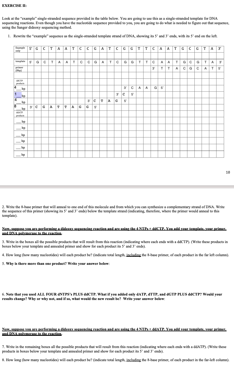 Solved EXERCISE II: Look at the 