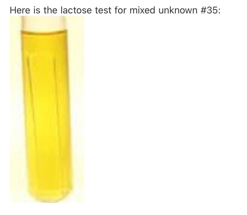 Solved Here is the lactose test for mixed unknown | Chegg.com