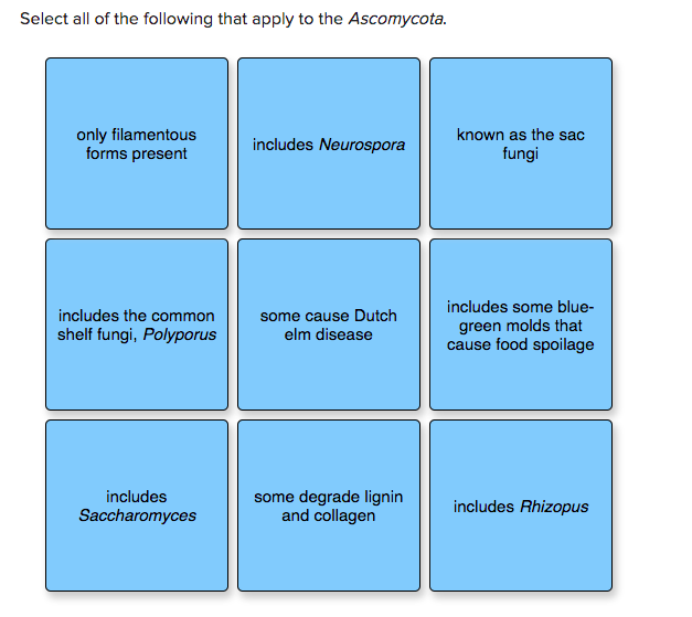 Solved Select all of the following that apply to the | Chegg.com