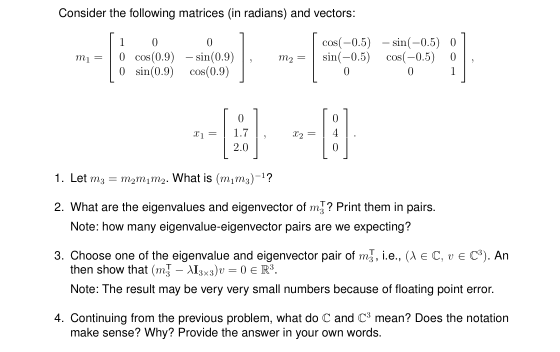 matrix problem in python assignment expert