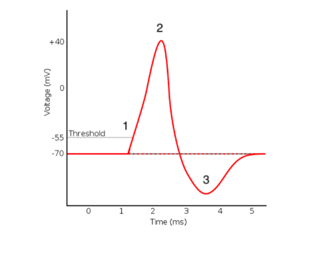 Solved For each labeled points (1,2, & 3) on the | Chegg.com