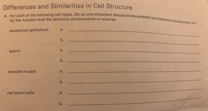 Structural characteristic of sperm cell