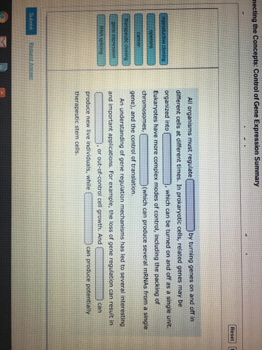 Solved necting the Concepts: Control of Gene Expression | Chegg.com