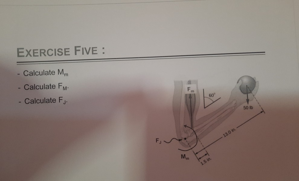 Solved EXERCISE FIVE : - Calculate Mm - Calculate FM - | Chegg.com