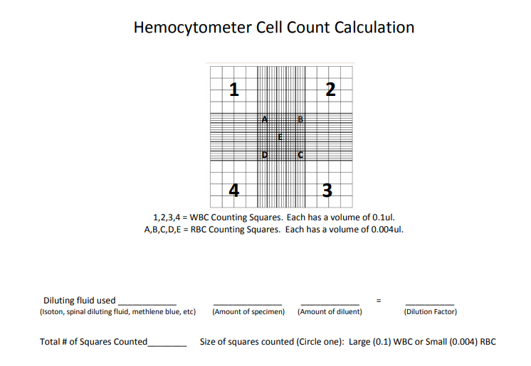 How To Calculate Dilution Factor For Cell Counting 4714